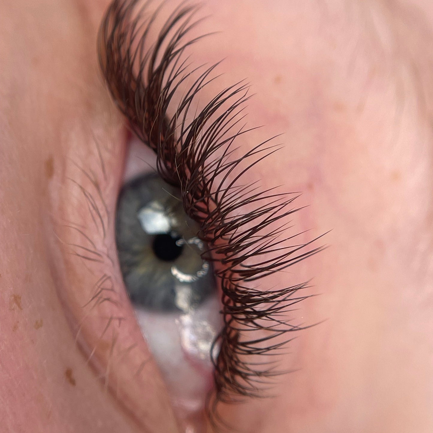 0.15 ☕️ Brown Classic Single Length Lash Trays