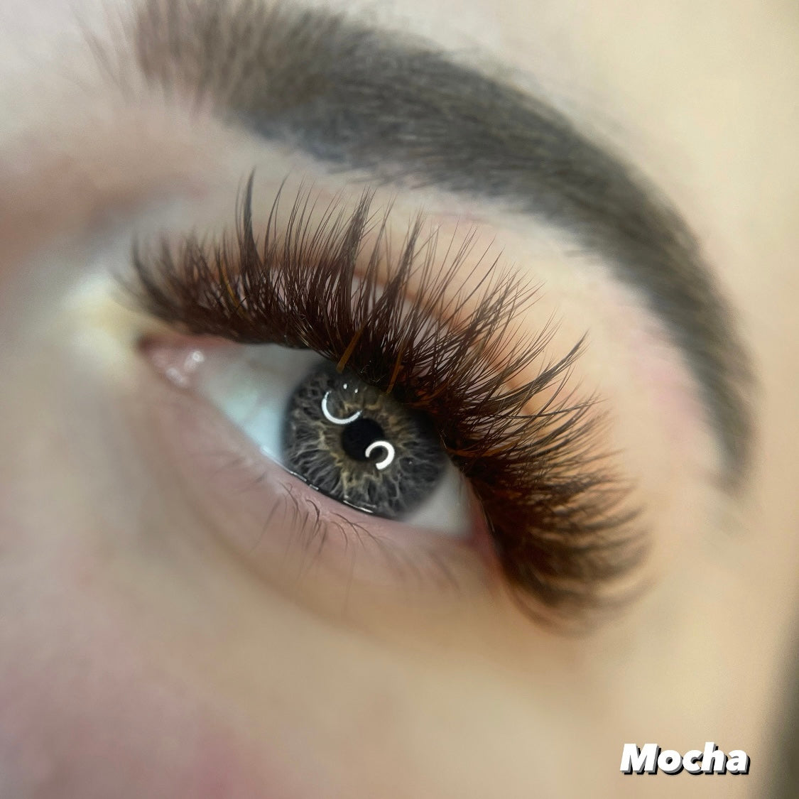 0.02 ☕️ Brown Single Length Lash Trays